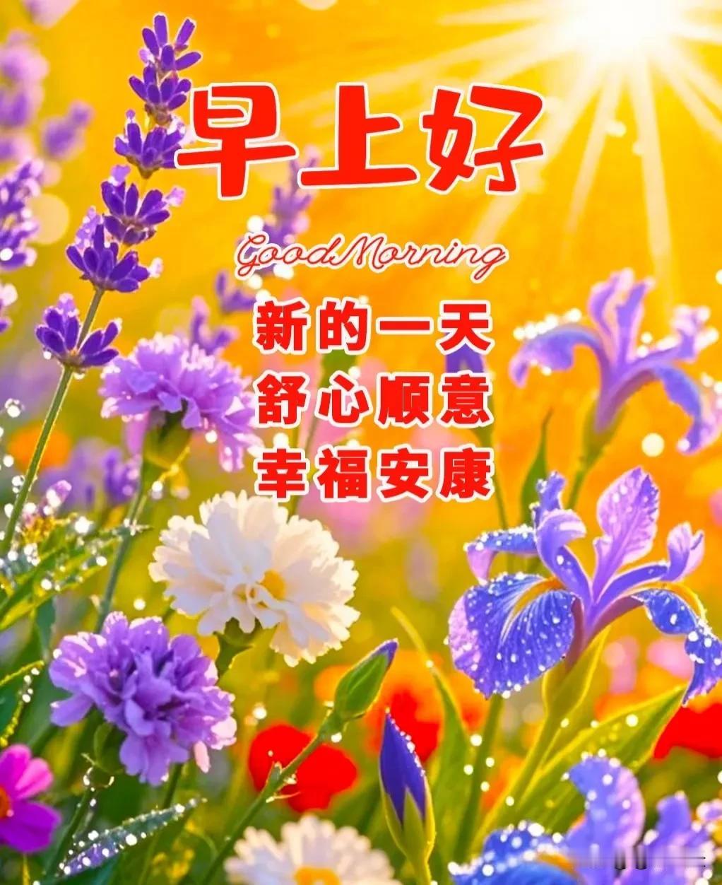 新的一天新景象
计划满满向前方
感恩拥有的一切
早安吉祥幸福长
[心][微风]