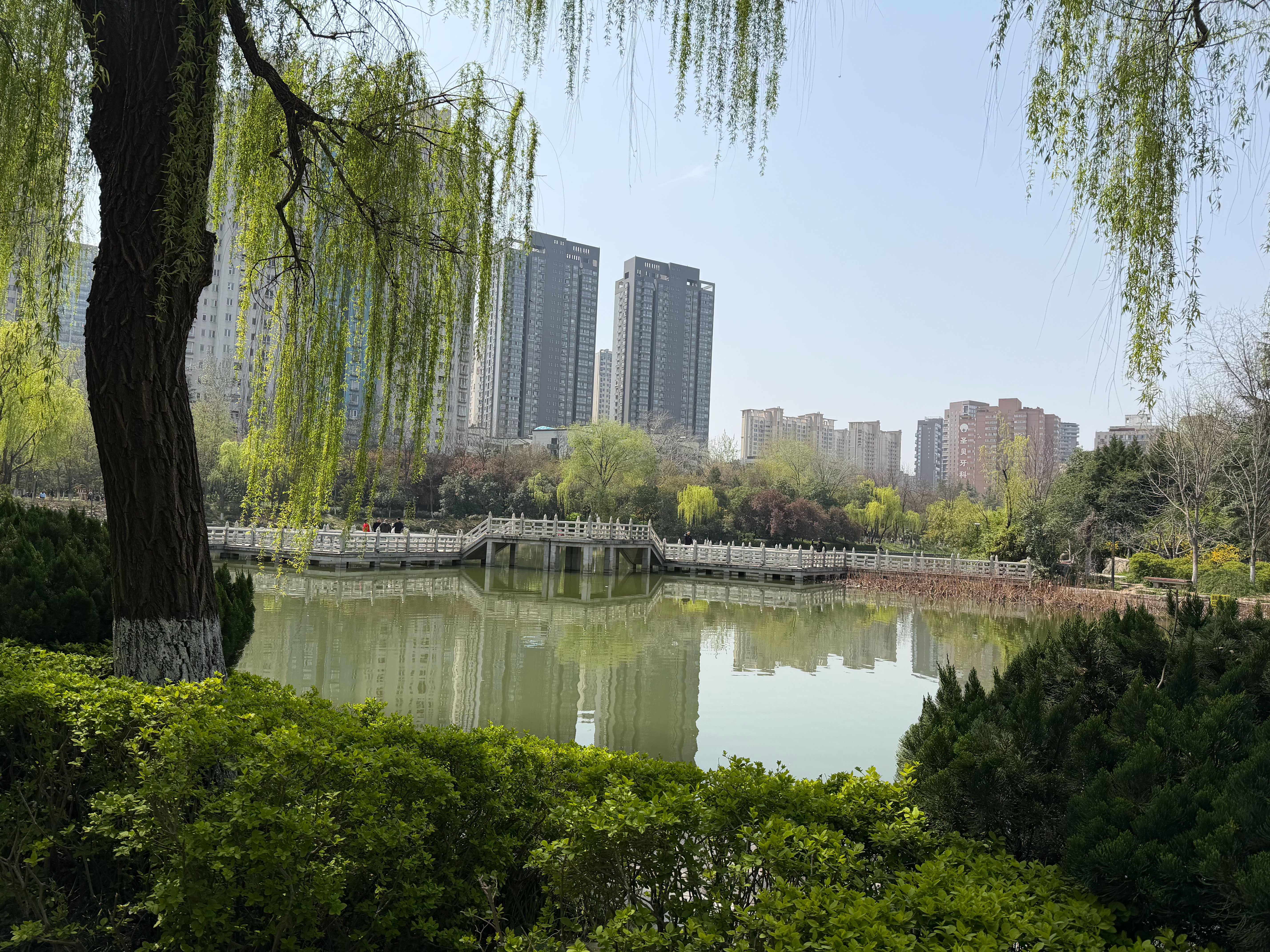 逛公园啦，春暖花开，万物可爱。 