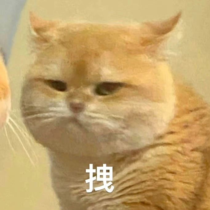 第一次在一只小猫身上看到这么多表情[喵喵]#猫咪托梦说猫粮不好吃# ​​​