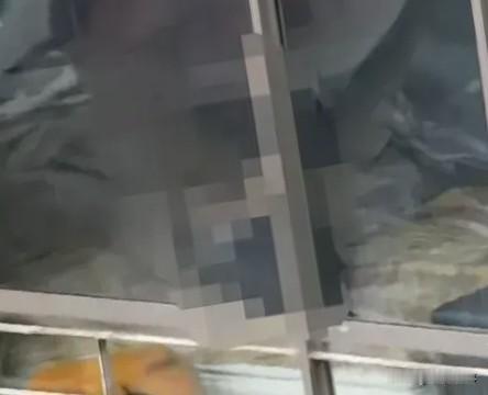 倒霉了，山东某小区女业主，真是吃了不懂法律的亏了，明明自己是受害者，家庭生活受到