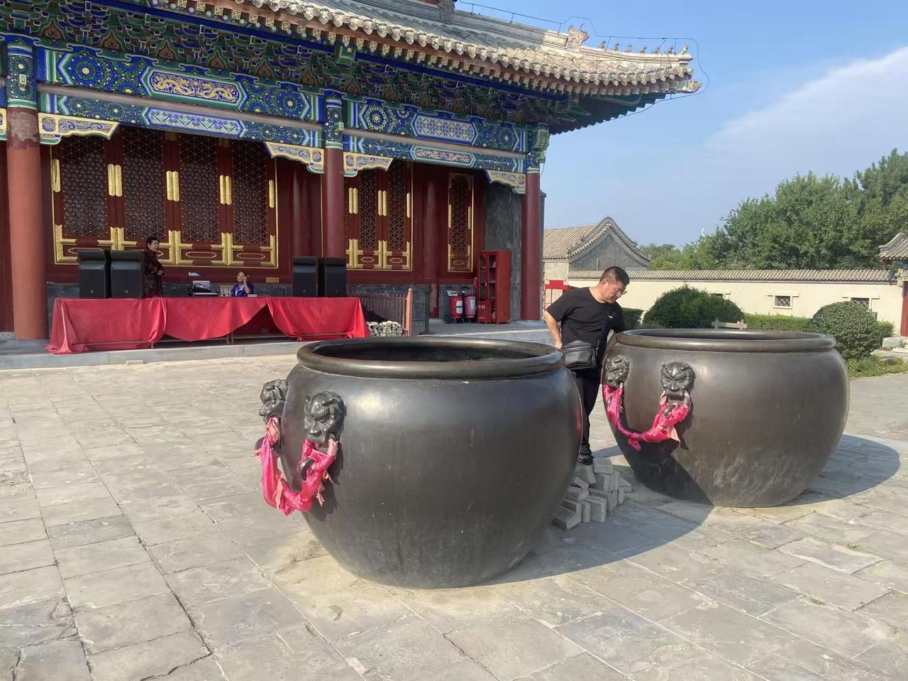 我觉妻子是个狠人，放在我身上，我是做不到这样的事情的。

前五天和妻子经常来往的