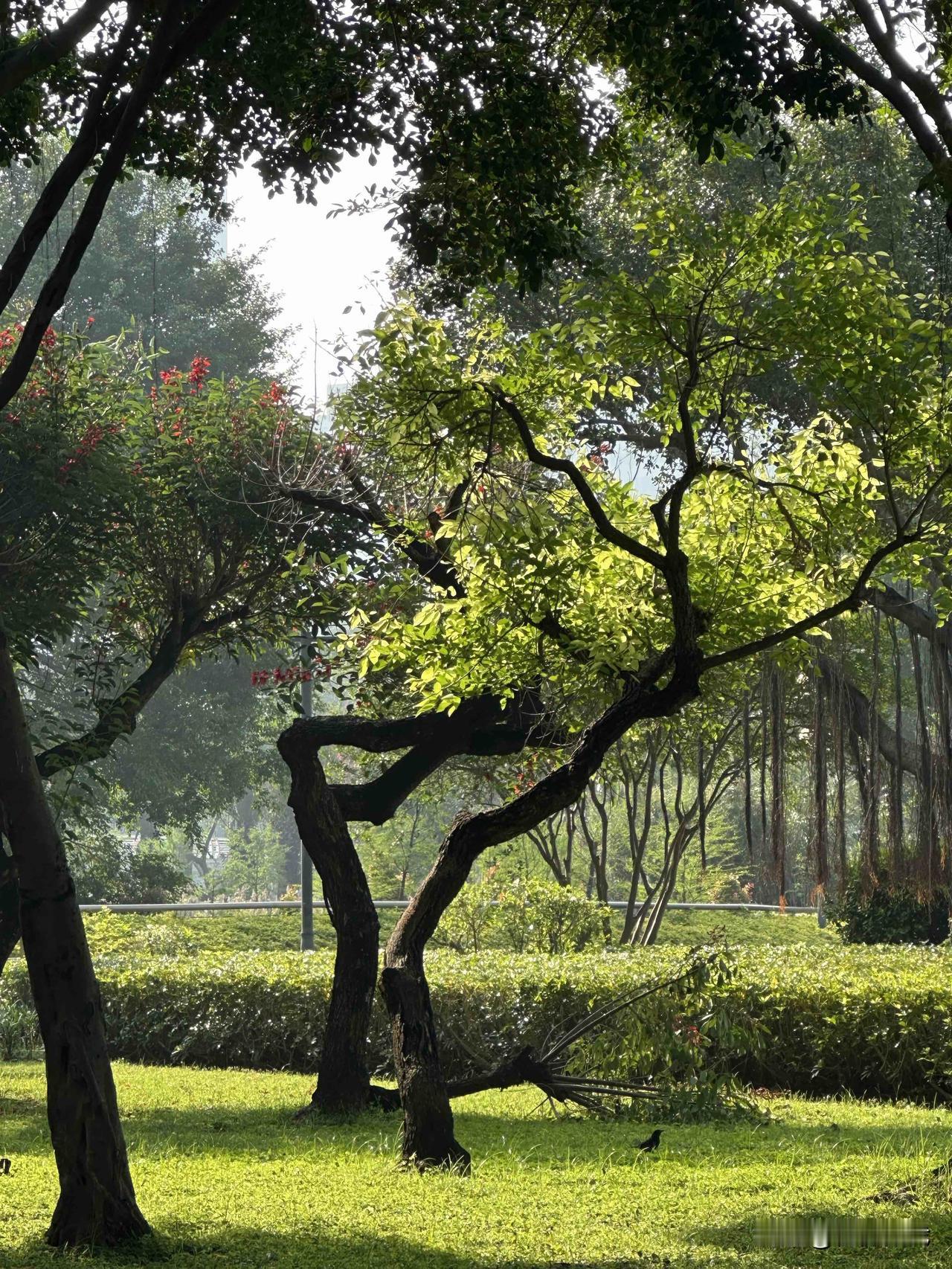 随拍。