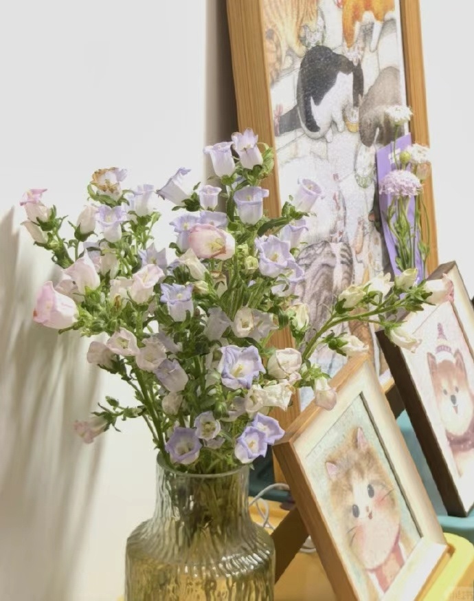 用心生活，日子自然会温柔以待。 