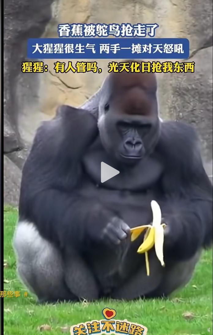 这做表情包不好吗？