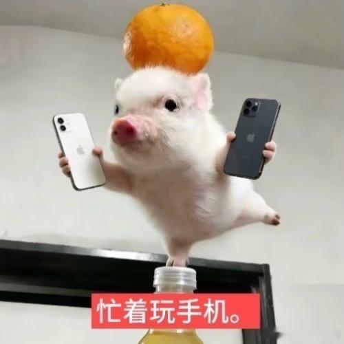 你们在干啥 