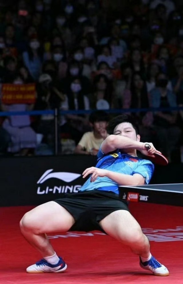 媒体称樊振东要的不仅仅是参赛资格  樊振东要的是一个干净公平的赛场、一个尊重运动