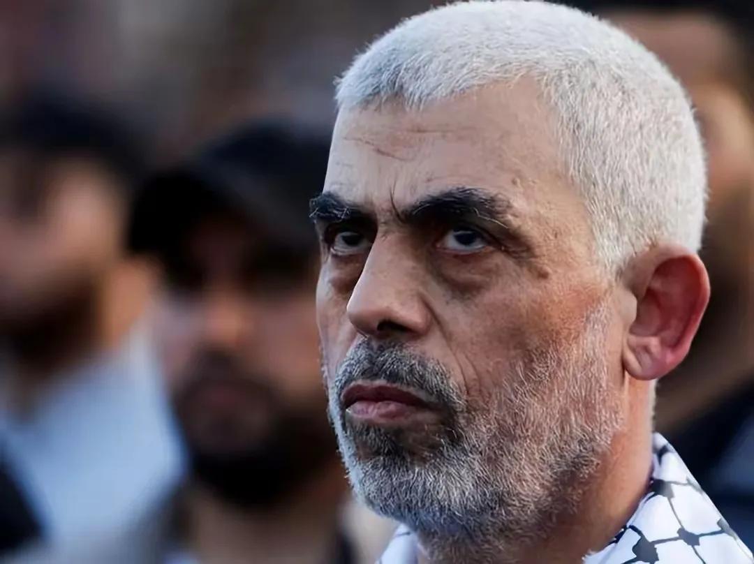 老虎屁股不能摸你却偏要去摸，老鼠戏猫很危险你却偏偏不信，加沙地带的巴勒斯坦人民对