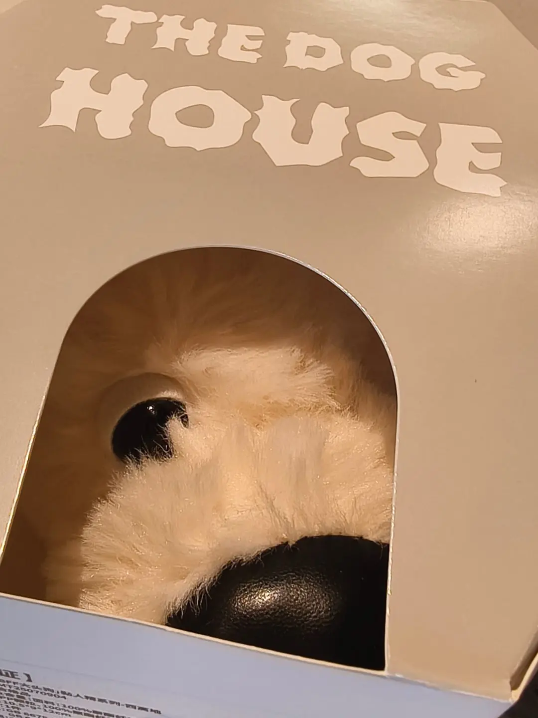 麦门永存！！！没有雪纳瑞了但西高地也超超超绝可爱🥹