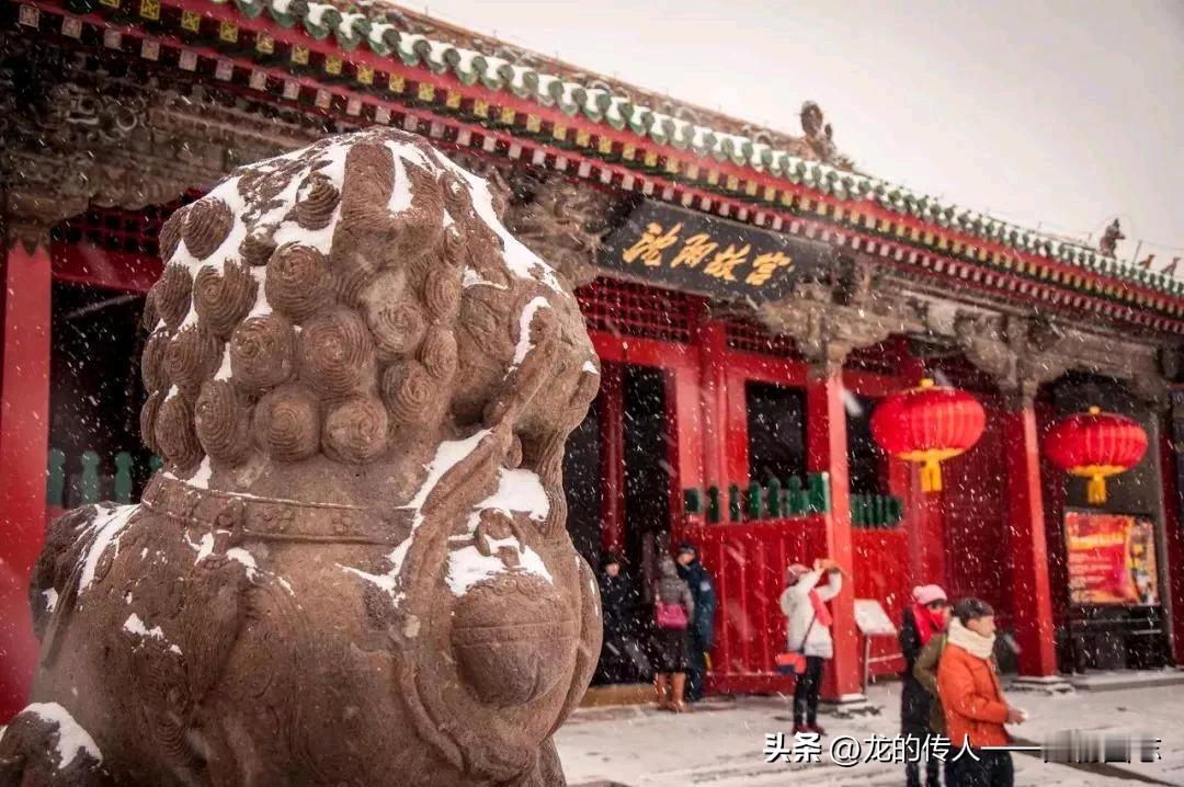 冬日生活打卡季