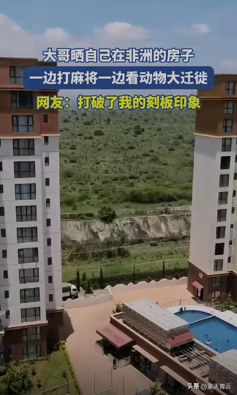 好家伙！
这是住在动物园了[赞]
这是什么开发商啊[偷笑]
难道这才是自然和谐[