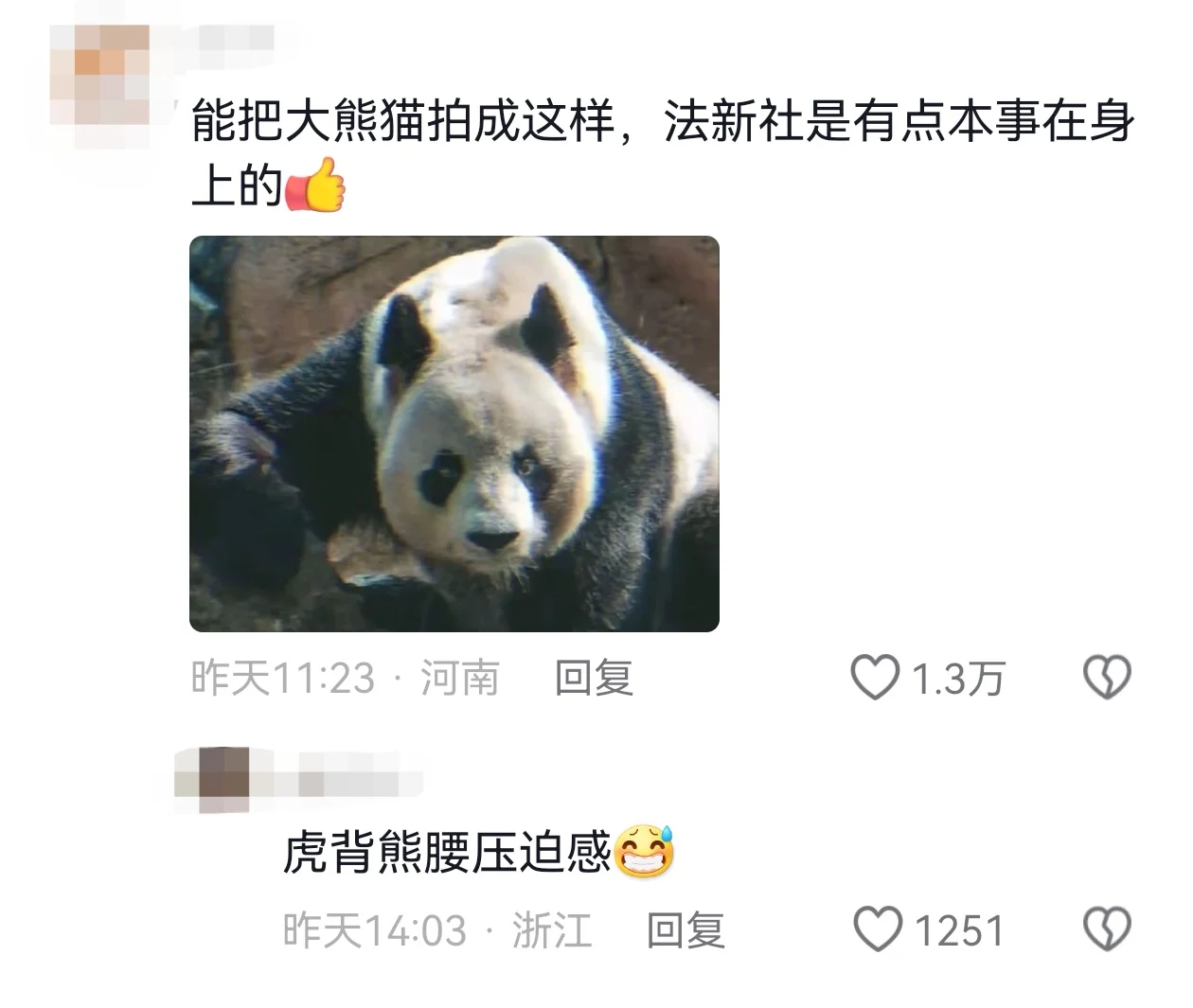 法新社黑粉转站姐？