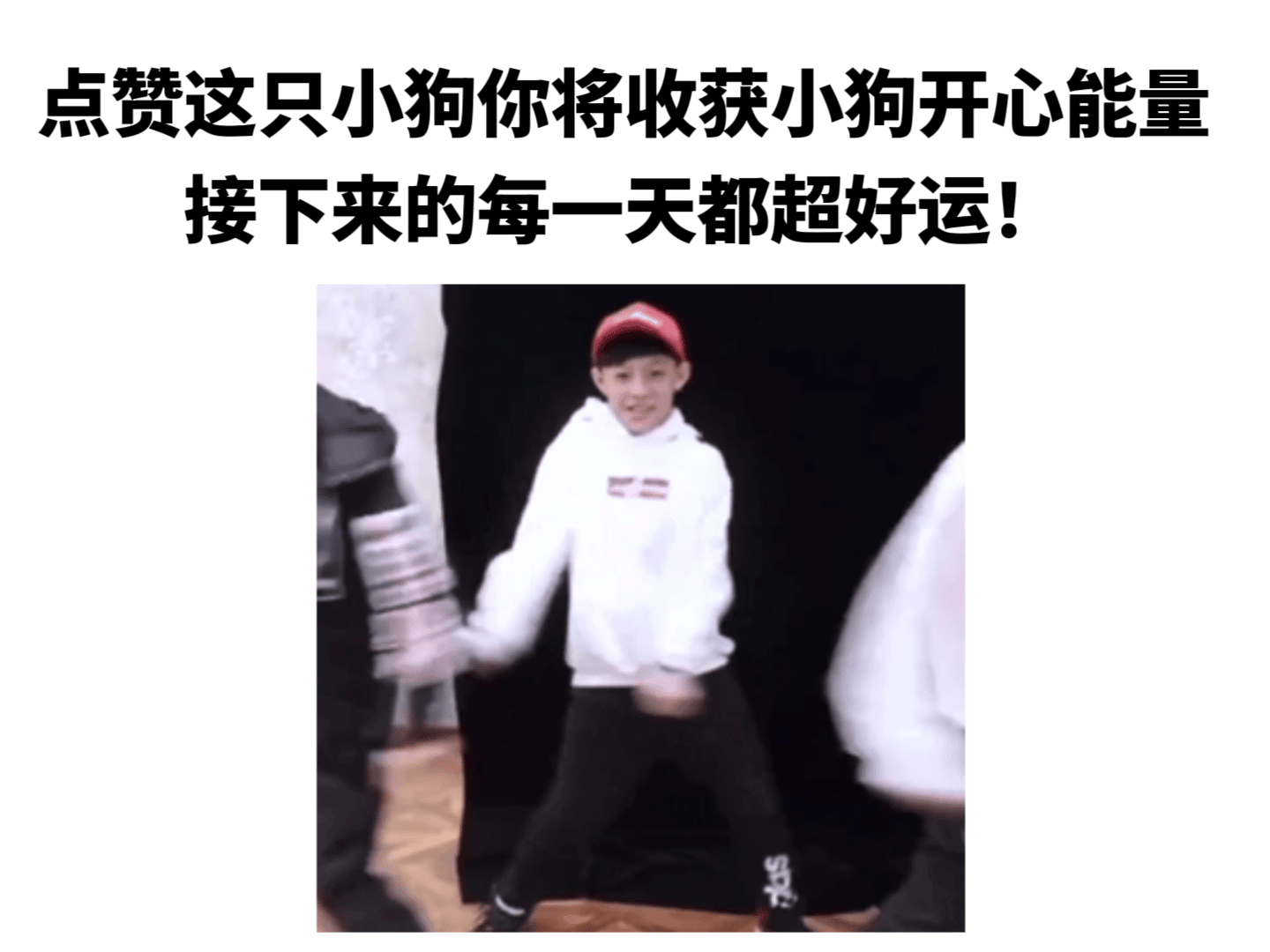 置顶养狗手册欢迎好朋狗们研读🔝每日一句金毛大王汪岁汪岁汪汪岁( ˘˙‎ࠔ˙˘)