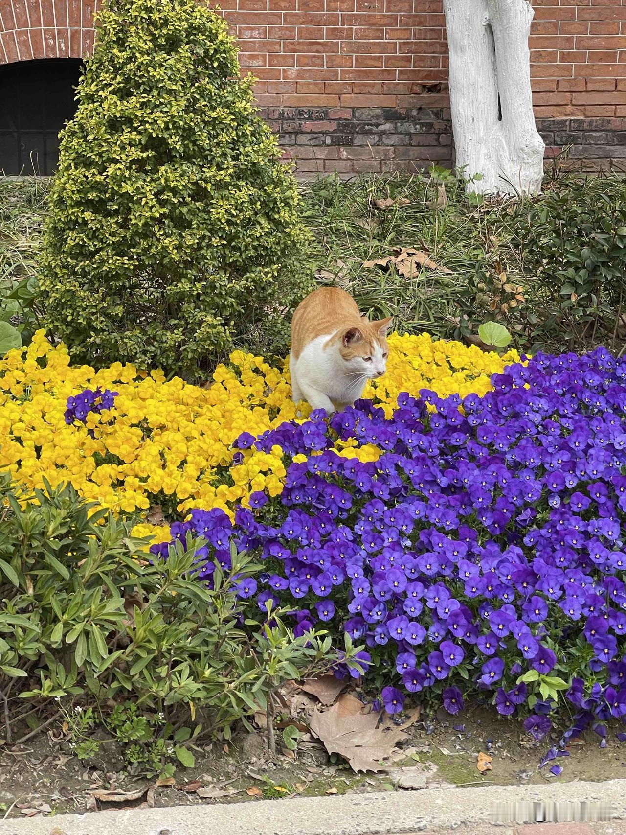 做预约检查需要提前签到。

我这次做超声检查，
预约检查时间是上午8点半。

因