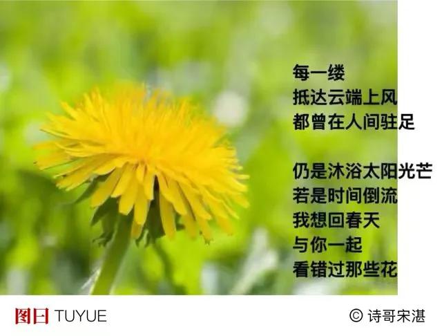 昨天山中看花开
梦中又看了遍
．
一大早
趁白云途经窗前
我在上面
记下一行文字