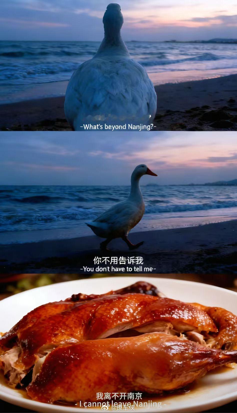 笑鼠我了，哈哈哈🤣 ​​​