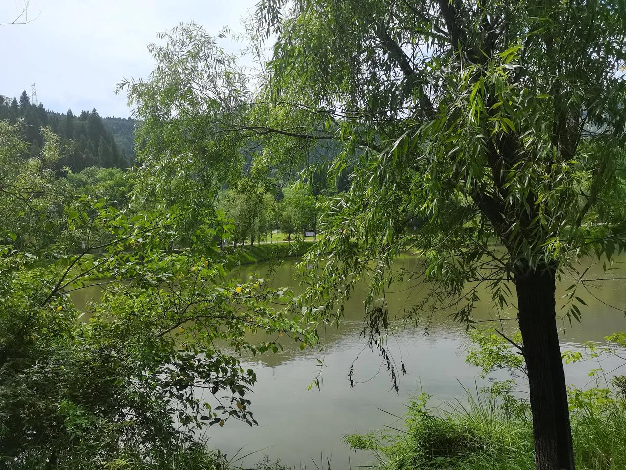 午后，我来到湖畔。阳光透过枝叶，斑驳地洒在身上，暖烘烘的。微风拂过，湖面泛起细碎