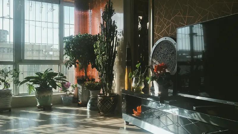 想保持愉悦的心情，我可是有切身体会的。以前我总是提不起精神，一点小事就能让我烦躁