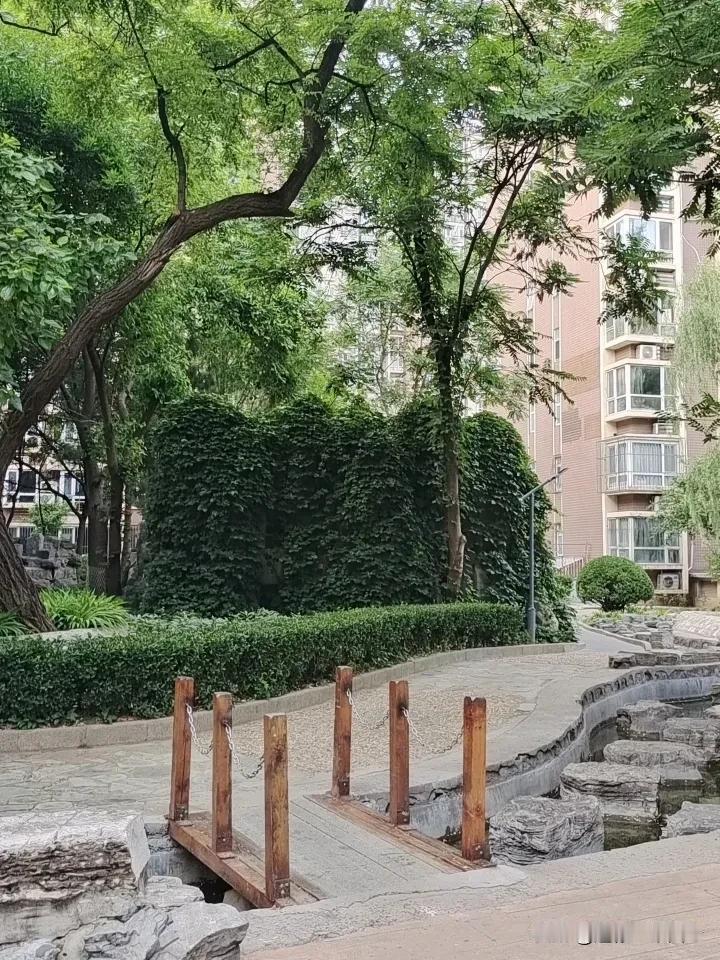 不要选故土，
要选沃土。
不要想着落叶归根，
学着落地生根。
你在哪里，
那里就