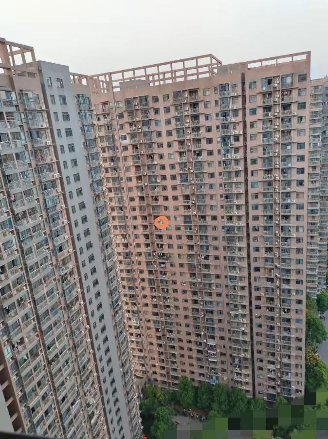 前几天跟做建筑设计的老同学聊了聊高层住宅，我直接后背发凉。
 
他说，所谓“30