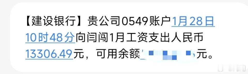 除夕，提前把一月份的工资发了，告别甲辰龙年的最后一项工作完成，准备迎接乙巳蛇年[