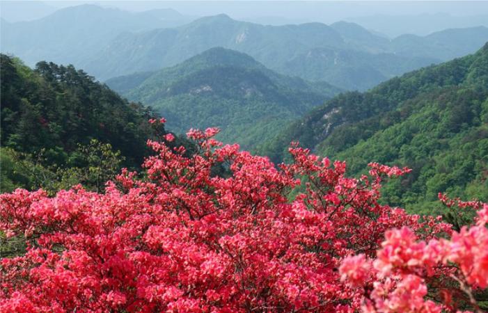 人去楼空，早已物是人非。