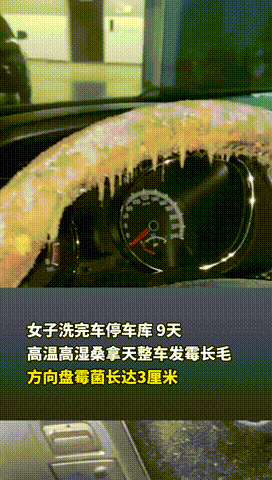 “恶心坏了！”重庆，一女子洗完车后，便将车放在车库9天，可等她准备开车时，竟发现