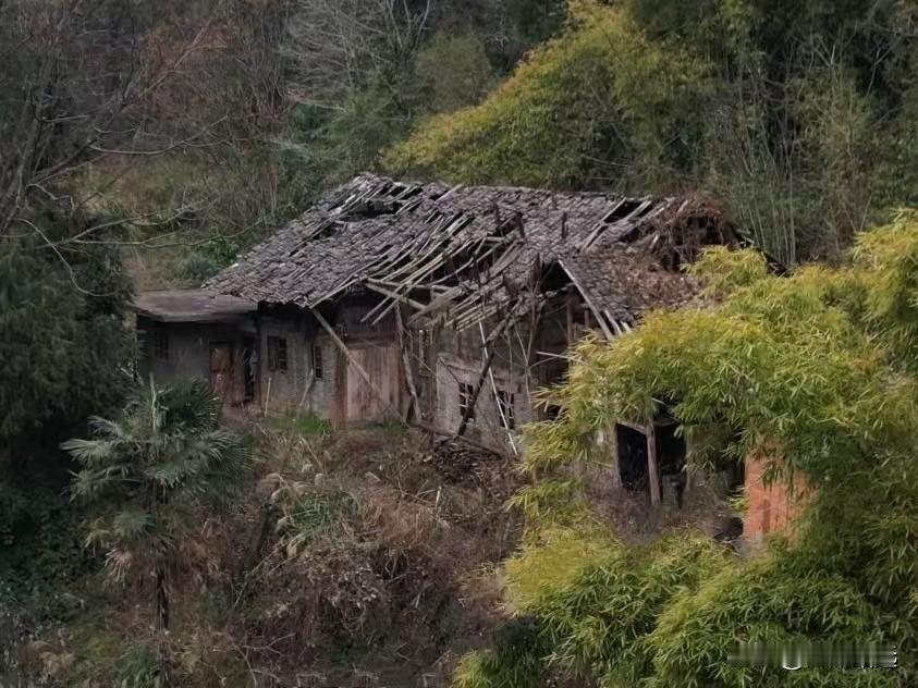 我曾在山上住过一间小泥屋（东北俗称“炝子”），是看山人，为短期居住而临时搭建，用