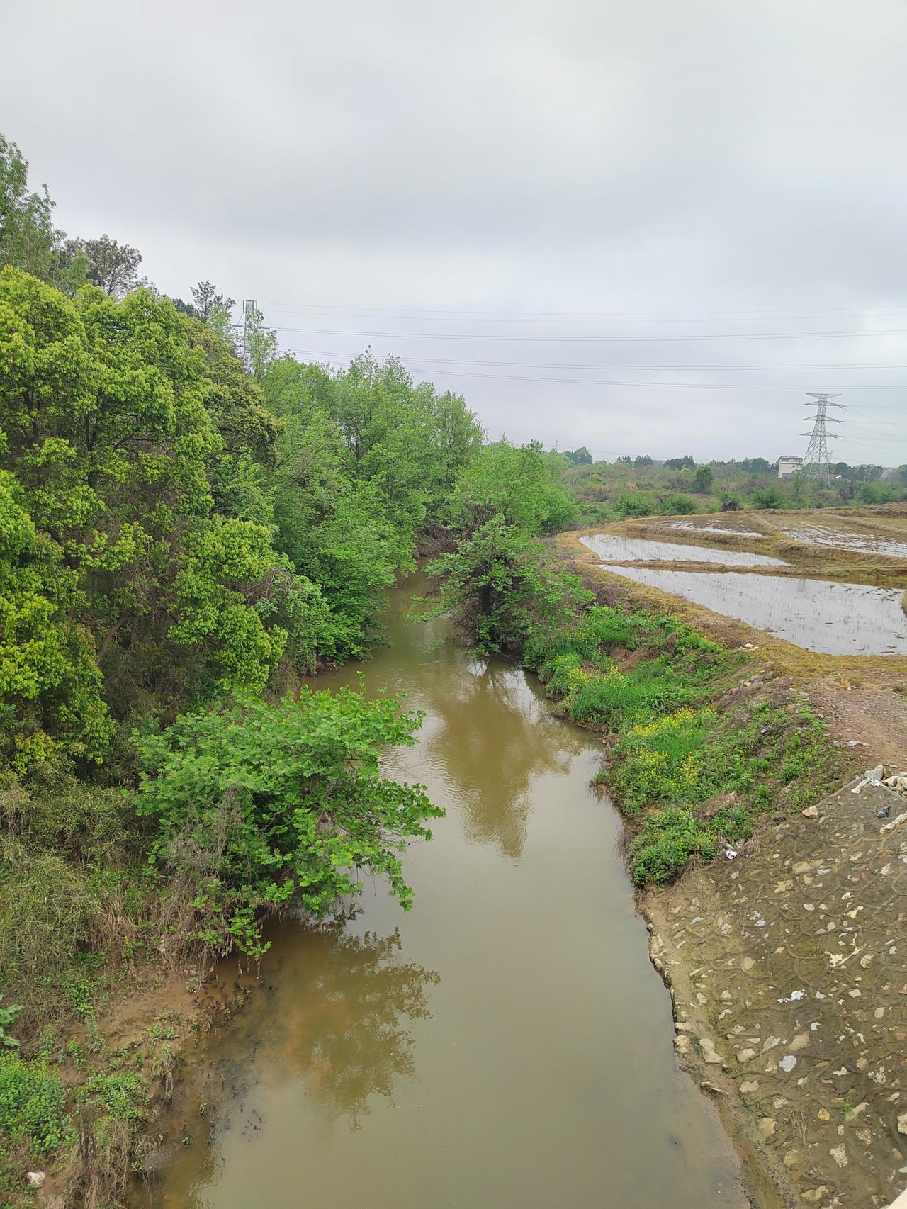 穿越高安新320国道的几条小支流

高安新320国道两侧既没有大河，也没有高山，