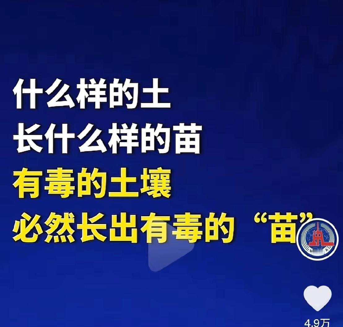 文化人骂人不带脏字，但是句句扎心，就是正告高市早苗，别忘记了，你们是吃过原子弹的