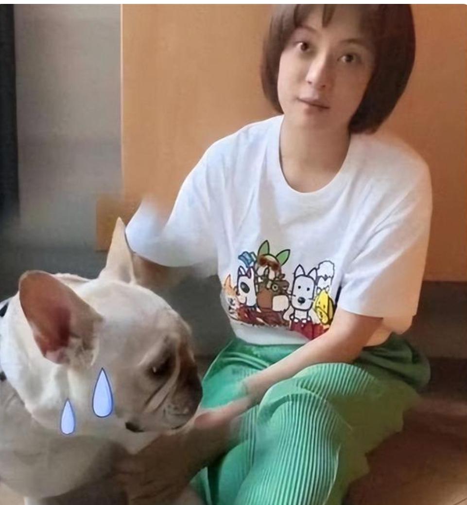 孙俪的“上海小院”火了，院里种菜晒衣服养狗，满满都是烟火气娱乐 明星