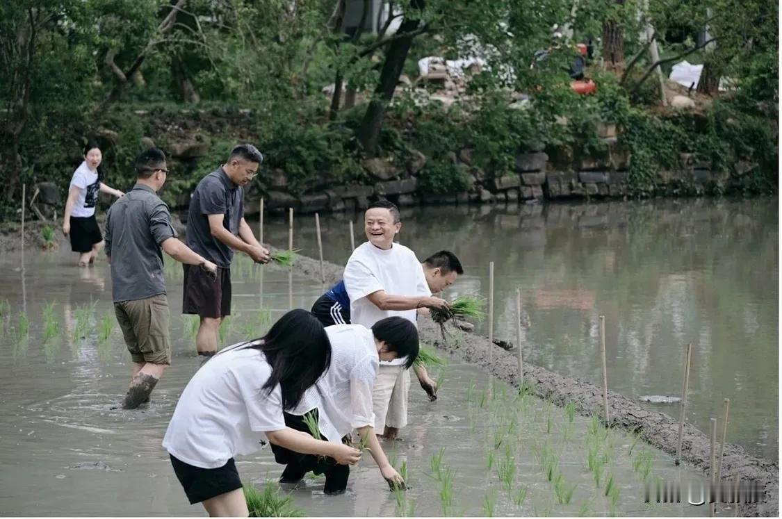 马老师
接地气