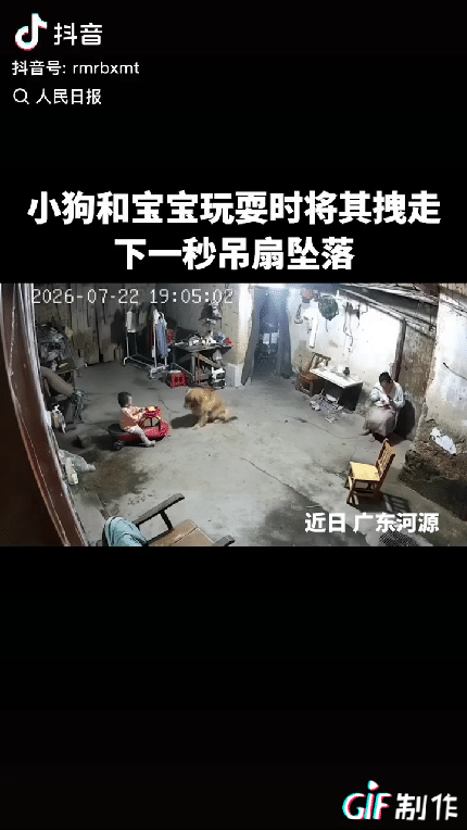 上人民日报了。广东河源，一宝宝在和金毛玩耍，突然金毛叼起扭扭车的绳子，拉扯着骑着
