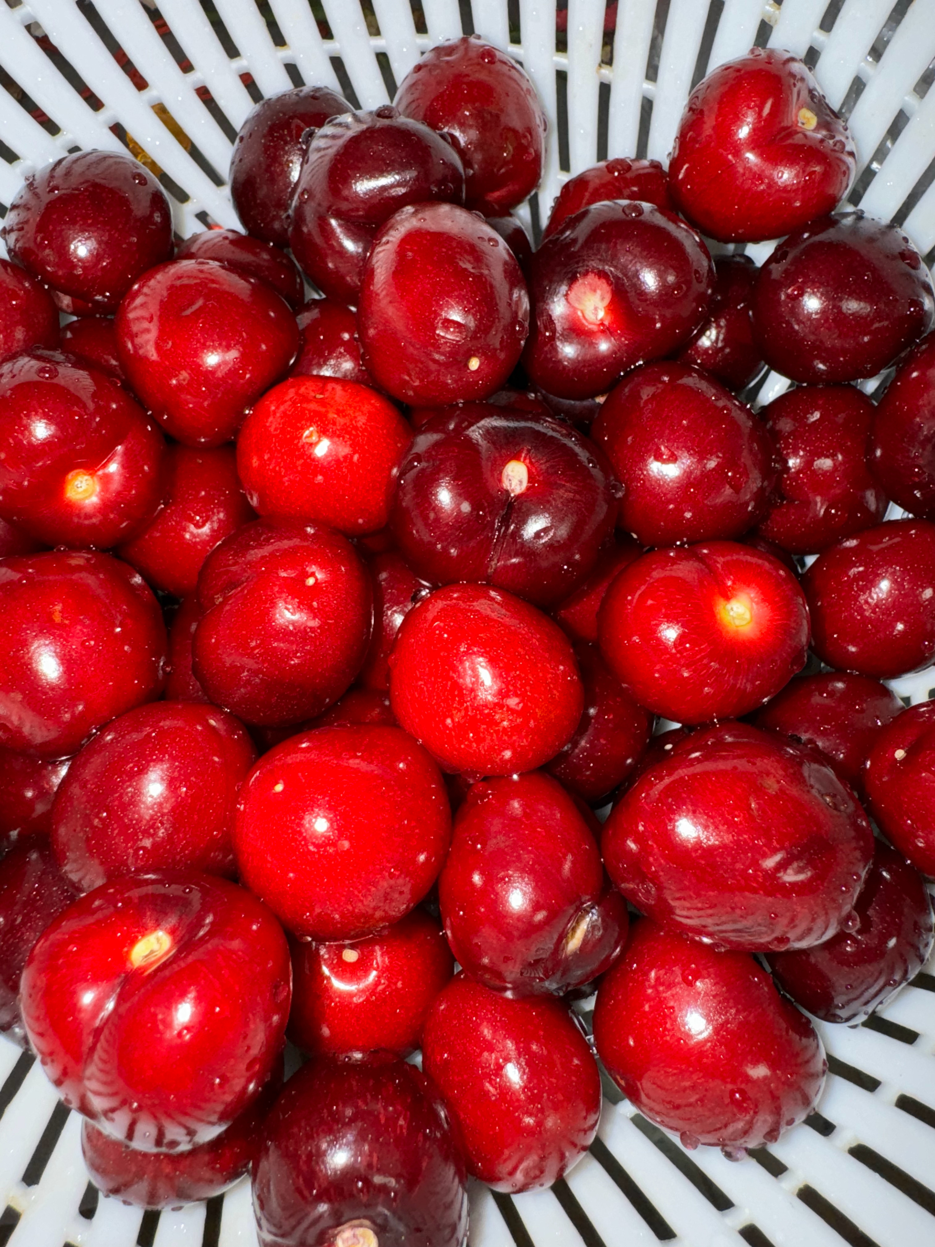 车厘子和草莓咋这么好吃… 