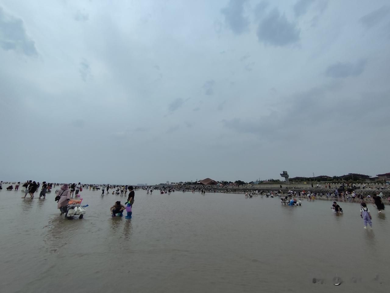 夏日生活打卡季赶海