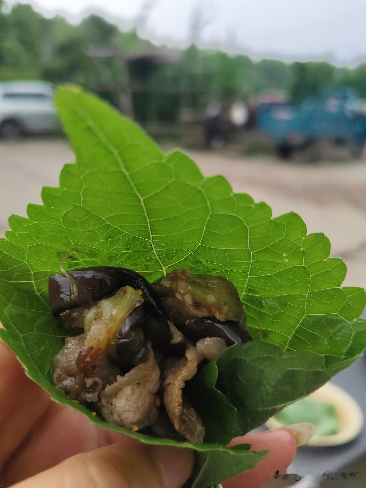 这一口香到天际了，烤爆汁肥牛加茄子用紫苏叶包着吃，天呐太香了