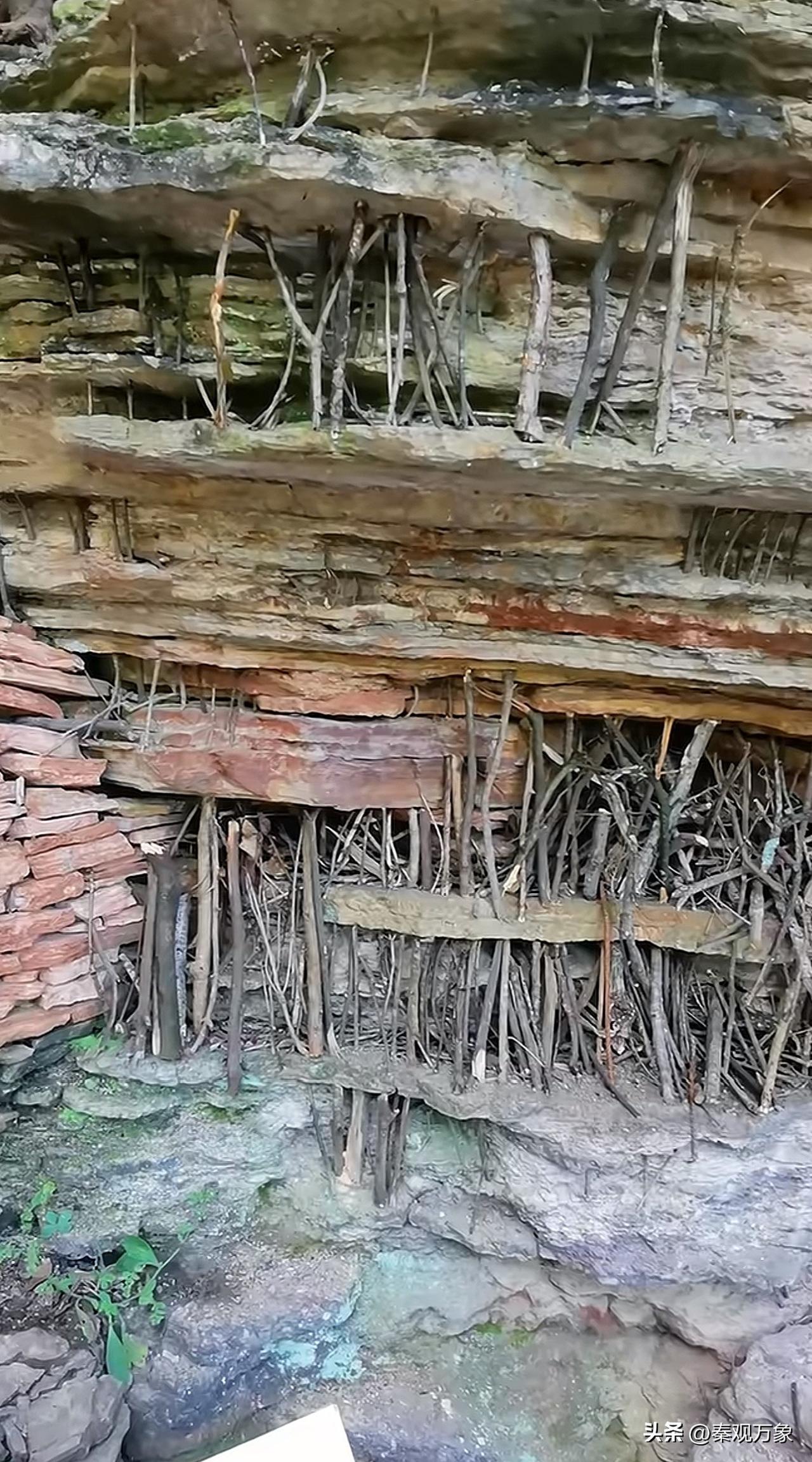 大山中发现的，谁懂这是啥意思？