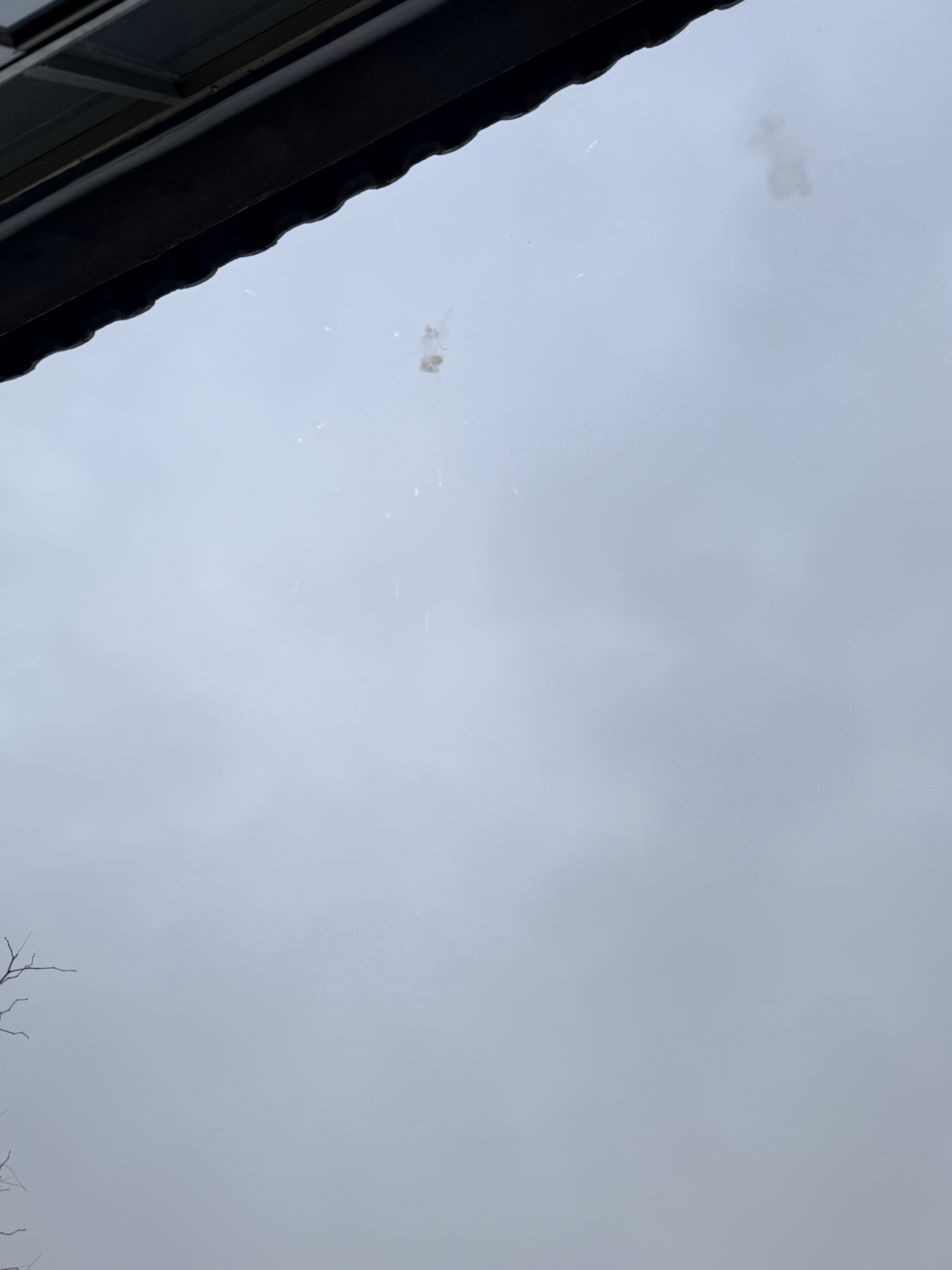 返青咯～小梦这里有个习惯就是出门之前放些鞭炮🧨你那里有没有？ 