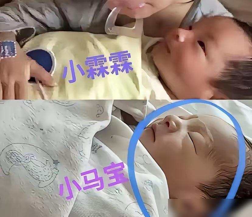 汪小菲那张脸，跟老爷子汪则翰简直一个模子刻出来的，可这活法儿，就离谱。
 
他这