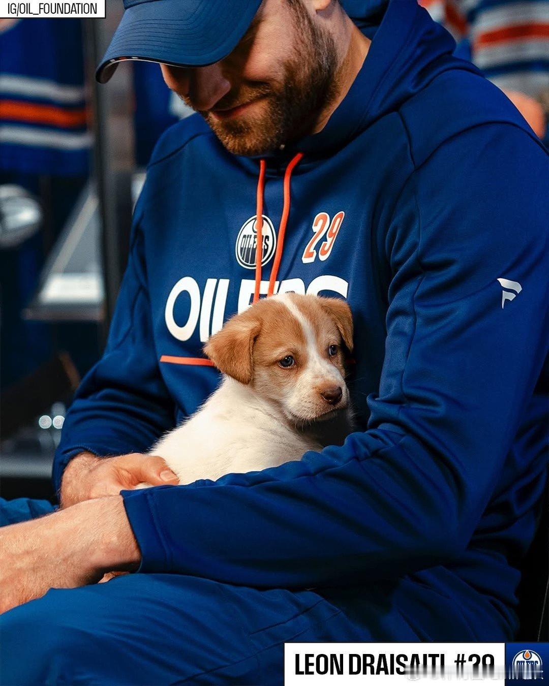 爱不释手~又是被狗狗治愈的一天🐕NHL零距离 ​ cr：NHL冰球联盟 ​​​
