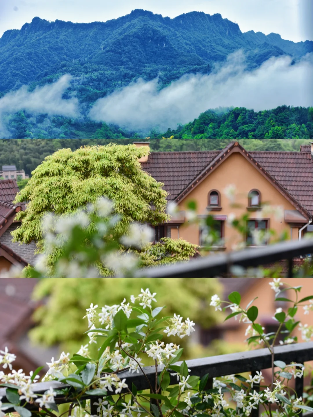 夏日寻园🌵｜仿佛身在神仙阳光的植物园