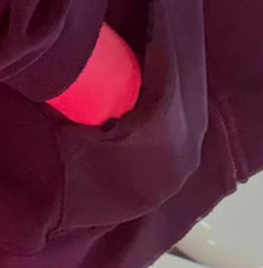 【请吃】家里的小咪总是做这个动作是什么意思呀 