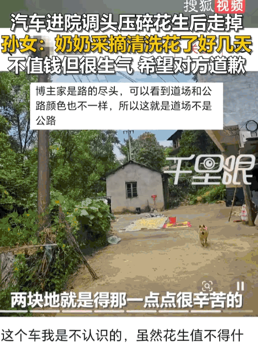 真的看得人心里堵得慌，
桂林一辆私家车贸然闯进农户自家院坝掉头，直接碾烂老奶奶晒