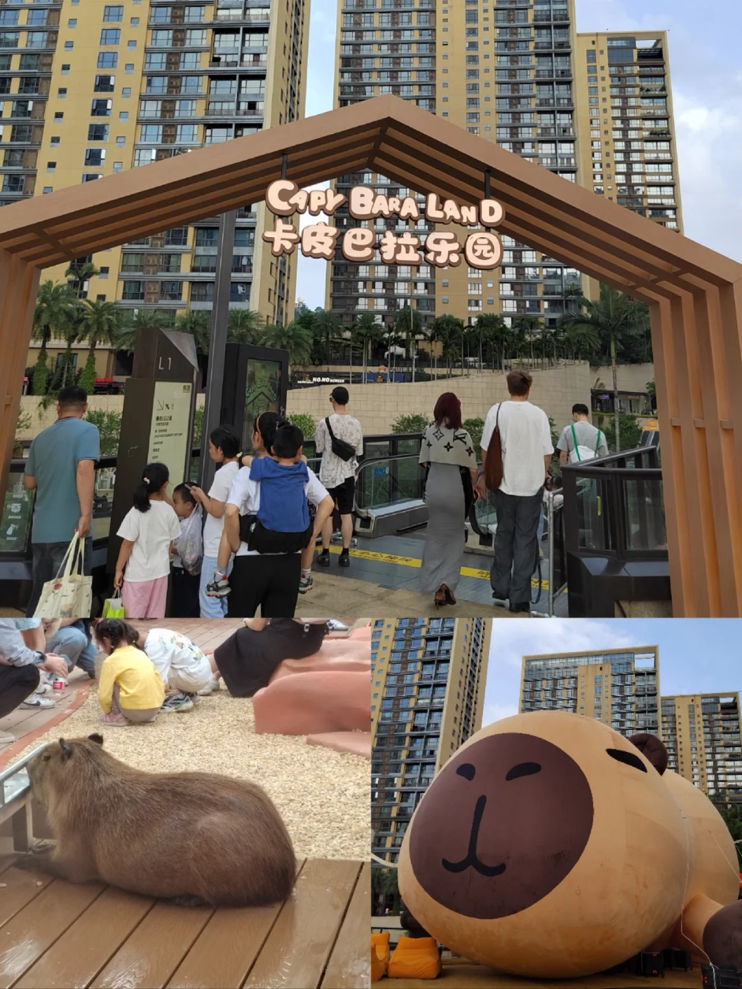 广州四海城打卡卡皮巴拉