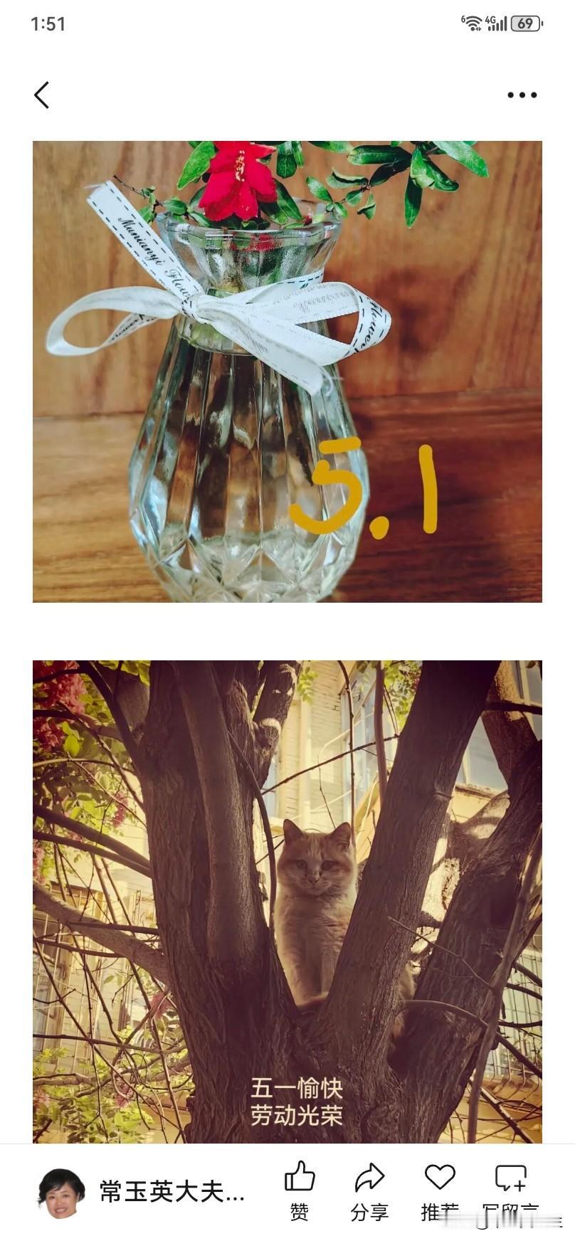 临江仙·五一


蜀地榴花红欲艳，
并汾树上猫闲。
一南一北千里远。
花前轻对影