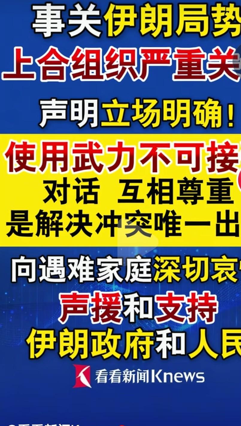 上合组织是最重要的国际组织之一，有10个正式成员，其中比较有影响力的。中国，俄罗