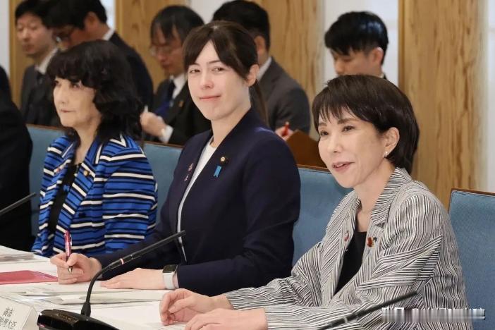 憋了一天，日本经济大臣终于开口，正开发无稀土替代品
1月7日，日本经济安全保障大