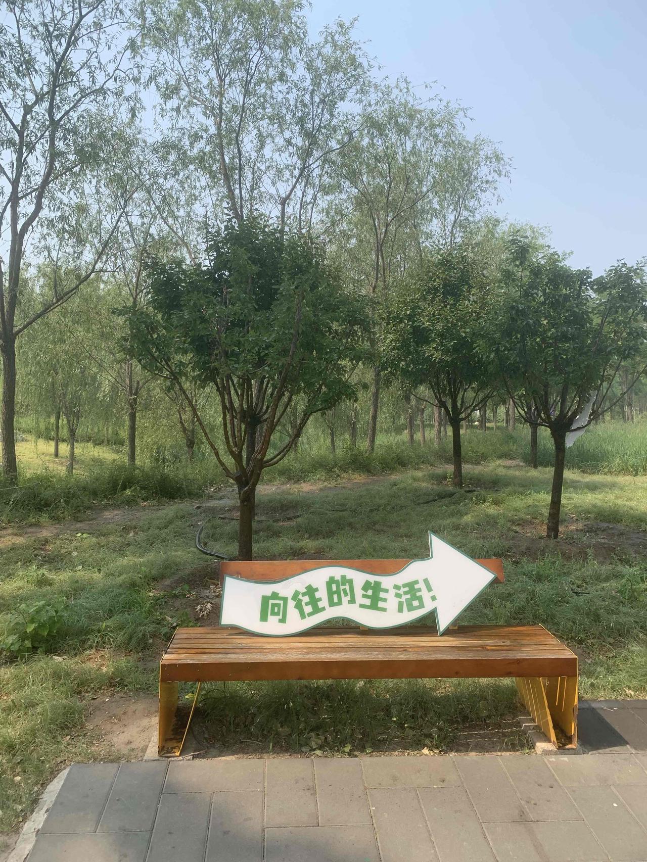 对于你现在的生活状态，给我两个字昨天去逛公园，看到一对老夫妻，丈夫推着坐在轮椅上