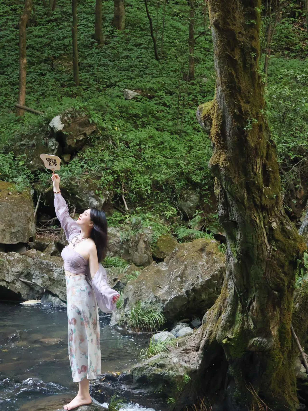 三清山已回😭给要去三清山的一些忠告‼️