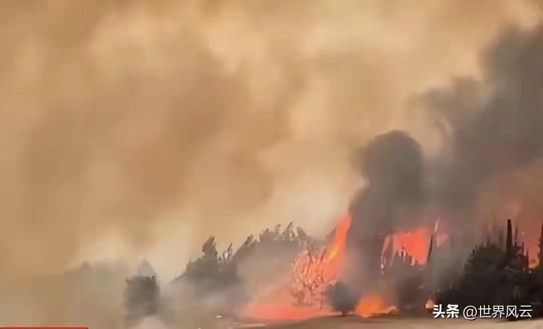 打遍中东难逢对手，却可能栽在一片树林里？以色列短板藏得太深了……
当全世界的目光