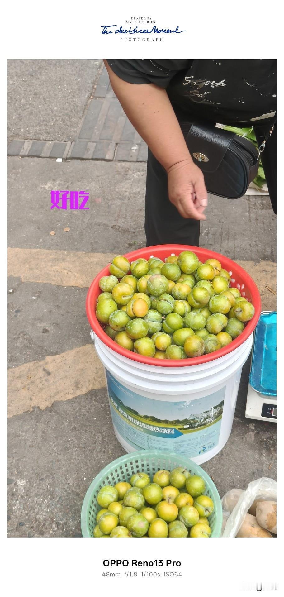 还是要钱才认得到货。眼下正是李子盛行的时节，峨眉的大街小巷到处都是卖李子的。我是